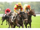 Voiladenuo dans le Prix Léon Rambaud