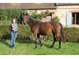 Sainte Iris (Saint des Saints & Iris du Berlais)