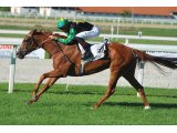 Matidia lors de sa victoire dans les Oaks hongroises à Budapest