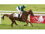 Brio des Mottes, dans le Prix Yann Poirier 2015 au Lion d'Angers
