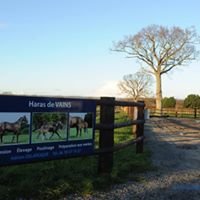 Conillon de retour au Haras de Vains - France sire