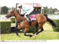 Concerto d'Allen lors de ses débuts victorieux à Clairefontaine le 18/07/15