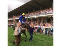 Victoire de VINGA dans le Grand Cross de Craon 2016 Victoire de VINGA dans le Grand Cross de Craon 2016