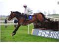 TOUCH THE EDEN (Malinas - Loika) gagnant le Hugh McMahon Memorial Chase GR. 2, 30.03.2014 Limerick (IRE) TOUCH THE EDEN (Malinas - Loika) gagnant le Hugh McMahon Memorial Chase GR. 2, 30.03.2014 Limerick (IRE)