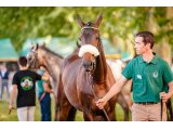 Nicolas & Gironde au Sprinter Sacré Show 2018 (©Zuzanna Lupa)