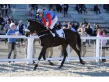Gamin d'Oudairies - Prix Palaminy 2020 - Pau