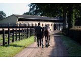 01 Haras de la Tuilerie - consignment obstacle