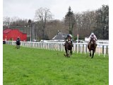 Hireine de Lagarde - Prix Charles de Ginestet - Grand Steeple-Chase des Anglo-Arabes (Pau, janvier 2023)